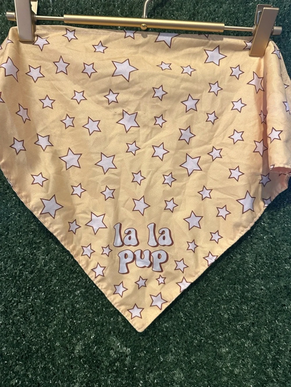La La Land Pup Bandana